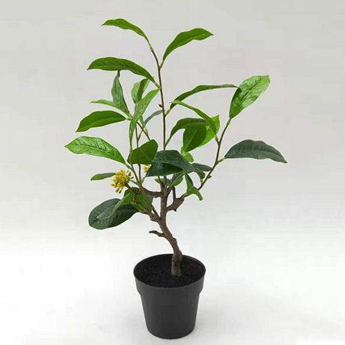 Artificial Sweet Osmanthus Bonsai, 30 CM - 90 CM