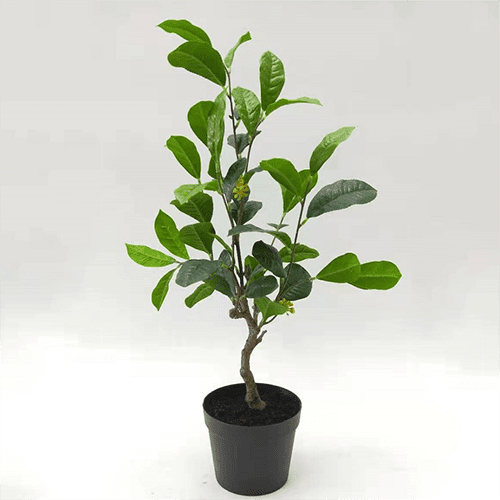 Artificial Sweet Osmanthus Bonsai, 30 CM - 90 CM