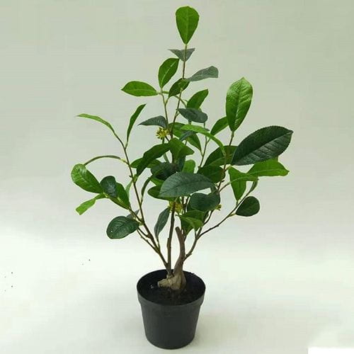Artificial Sweet Osmanthus Bonsai, 30 CM - 90 CM
