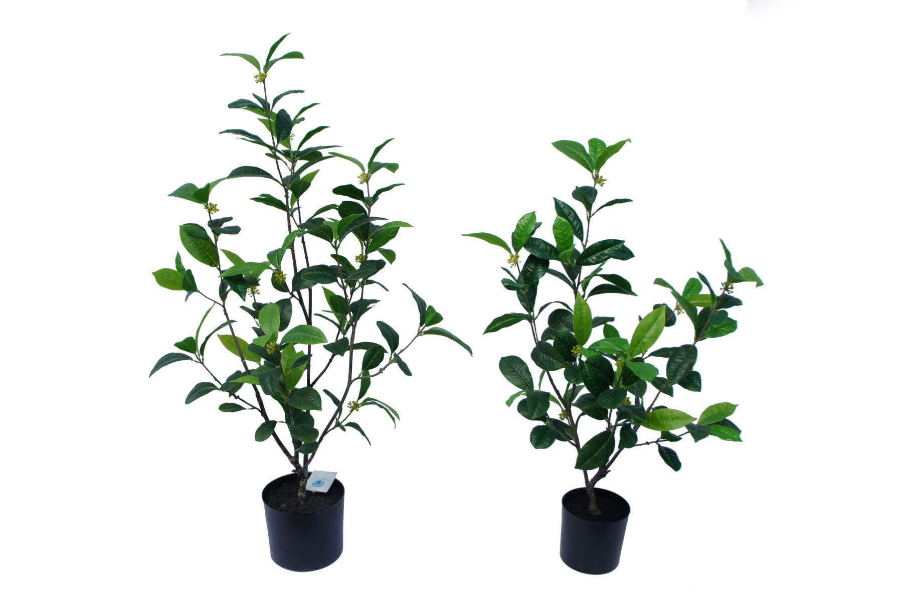 Artificial Sweet Osmanthus Bonsai, 30 CM - 90 CM