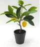 Artificial Lemon Tree Potted Plants, 30 CM ~ 50 CM