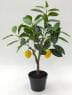 Artificial Lemon Tree Potted Plants, 30 CM ~ 50 CM