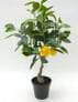 Faux Lemon Bonsai Artificial Lemon Tree, 60 CM ~ 90 CM