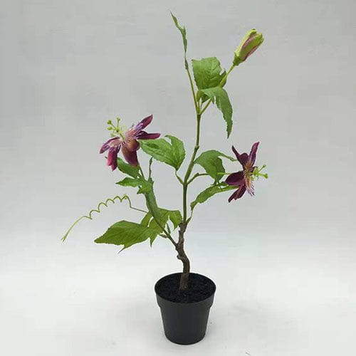 Artificial Passion Flower Bonsai, 50 CM - 90 CM Artificial Passion Flower Bonsai, 50 CM - 90 CM