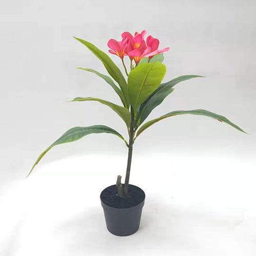 Artificial Frangipani Bonsai, 50 CM - 90 CM Artificial Frangipani Bonsai, 50 CM - 90 CM