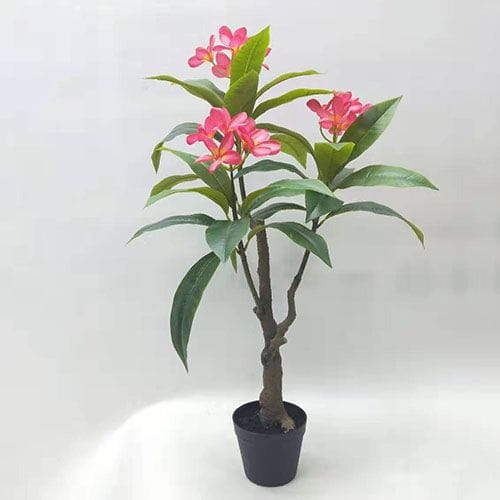 Artificial Frangipani Bonsai, 50 CM - 90 CM Artificial Frangipani Bonsai, 50 CM - 90 CM