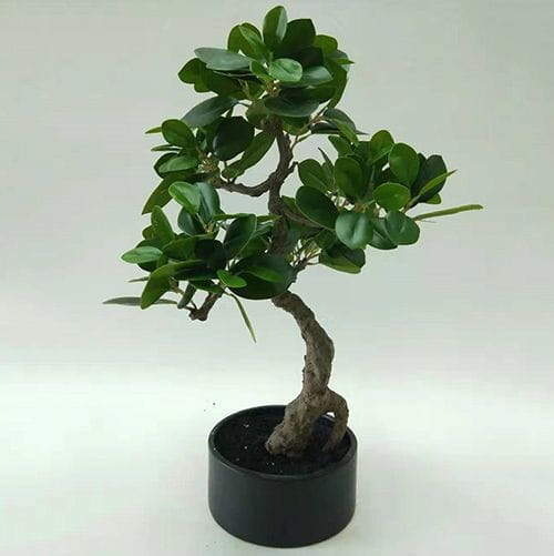 Artificial Ficus Microcarpa Bonsai, 30 CM, 50 CM, 66 CM