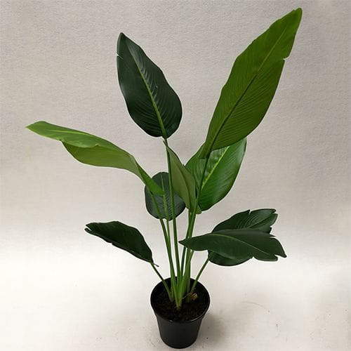 Artificial Strelitzia Bonsai, 50 CM, 65 CM, 75 CM