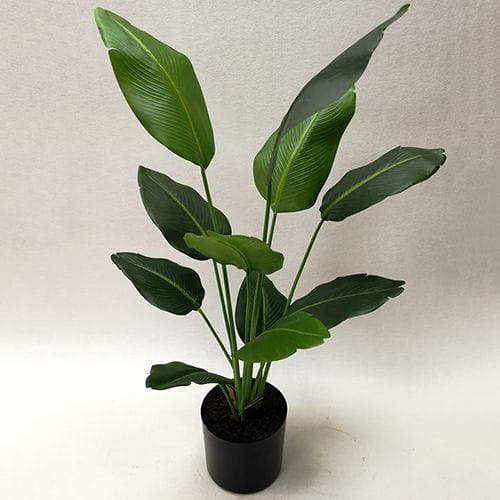 Artificial Strelitzia Bonsai, 50 CM, 65 CM, 75 CM