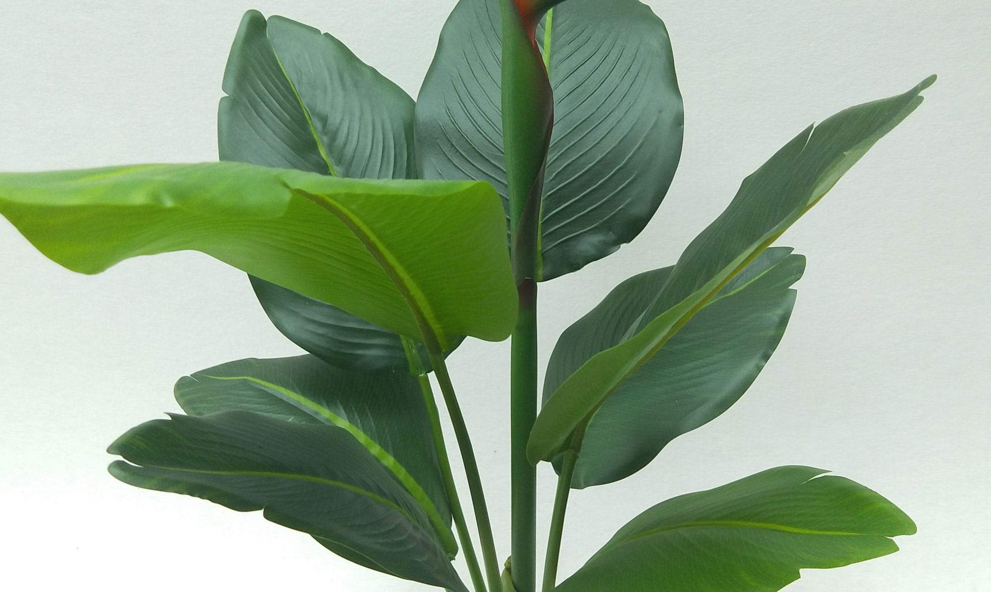 Artificial Bird Of Paradise Flower, 56 CM, 66 CM, 76 CM Artificial Bird Of Paradise Flower, 56 CM, 66 CM, 76 CM