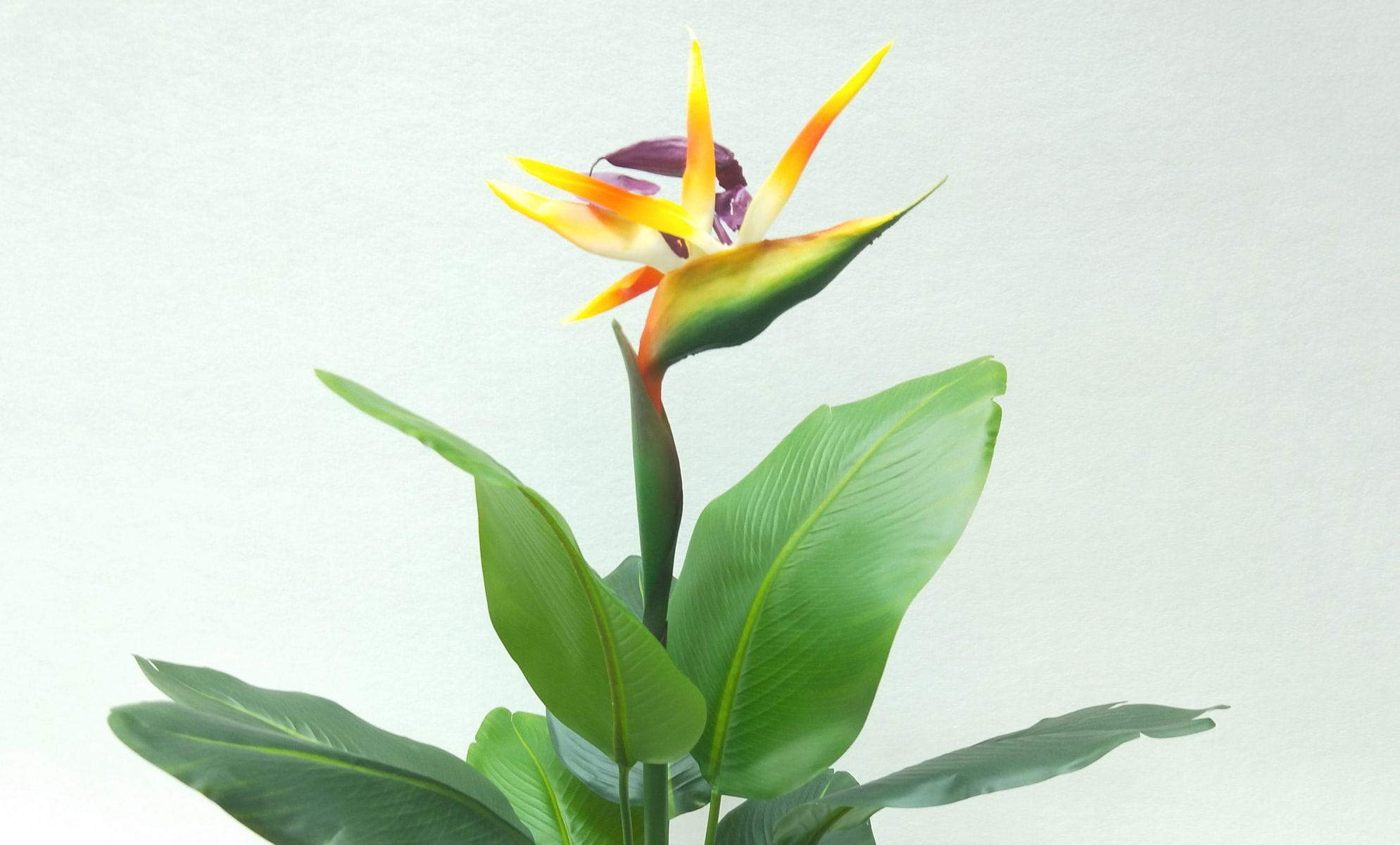 Artificial Bird Of Paradise Flower, 56 CM, 66 CM, 76 CM Artificial Bird Of Paradise Flower, 56 CM, 66 CM, 76 CM