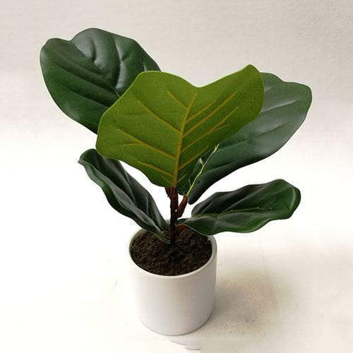 Artificial Fiddle Leaf Fig Bonsai, 30 CM, 50 CM
