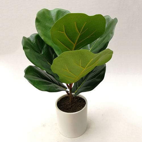 Artificial Fiddle Leaf Fig Bonsai, 30 CM, 50 CM