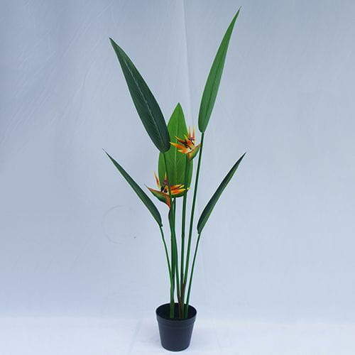 Artificial Strelitzia Bonsai With Sharp Leaves, 120 CM - 240 CM