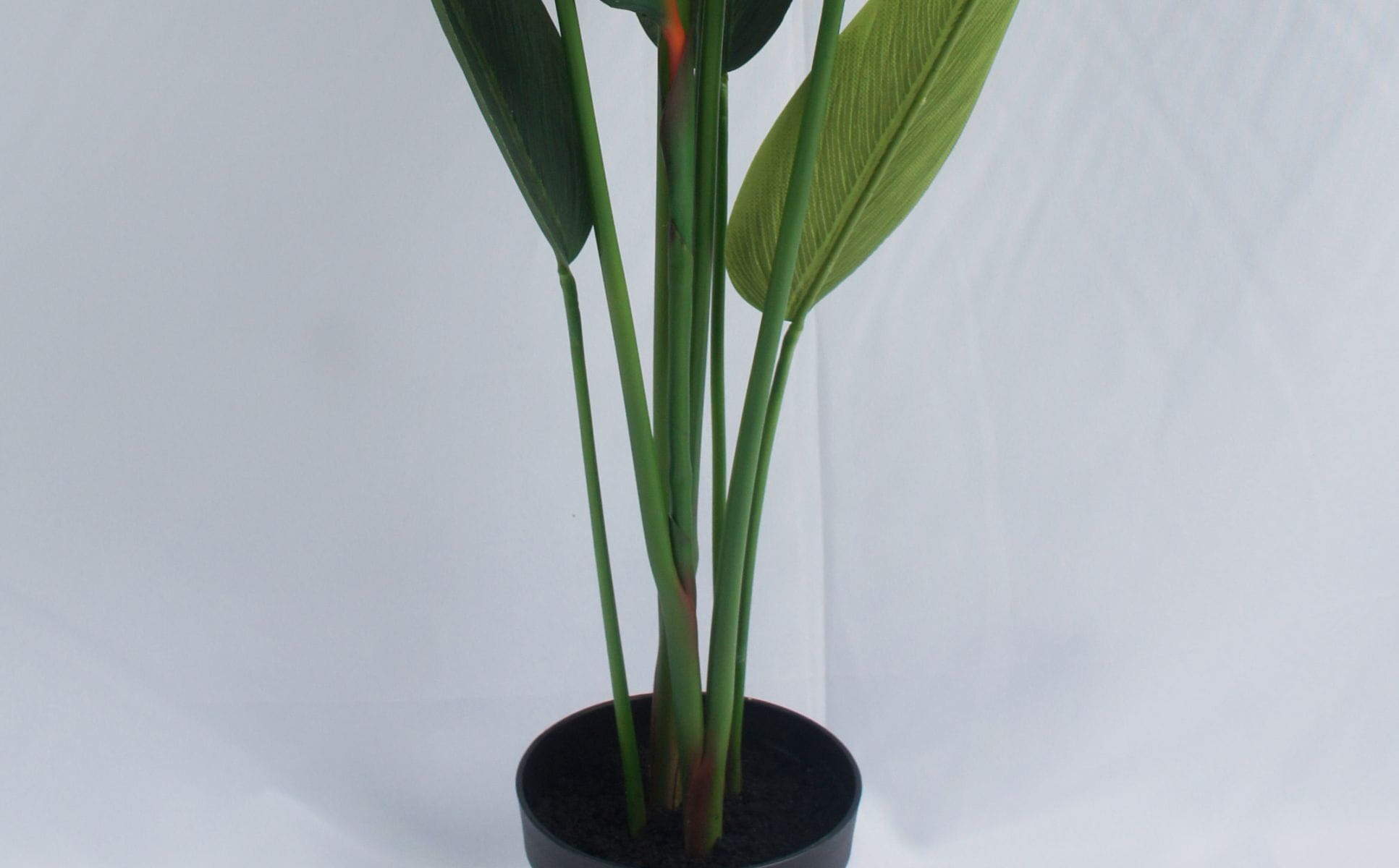 Artificial Strelitzia Nicolai Bonsai, 120 CM - 240 CM