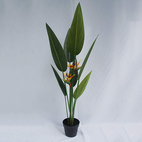 Artificial Strelitzia Nicolai Bonsai, 120 CM - 240 CM