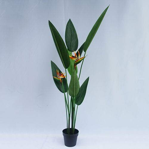 Artificial Strelitzia Bonsai With Sharp Leaves, 120 CM - 240 CM