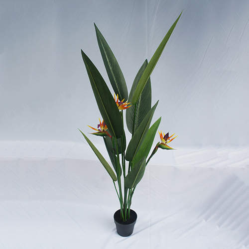 Artificial Strelitzia Nicolai Bonsai, 120 CM - 240 CM