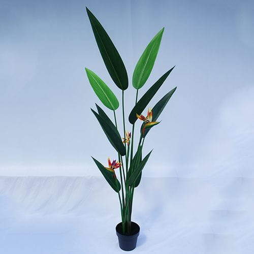 Artificial Strelitzia Bonsai With Sharp Leaves, 120 CM - 240 CM