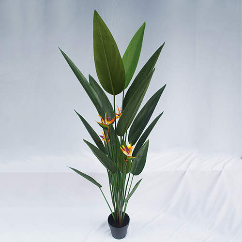 Artificial Strelitzia Nicolai Bonsai, 120 CM - 240 CM