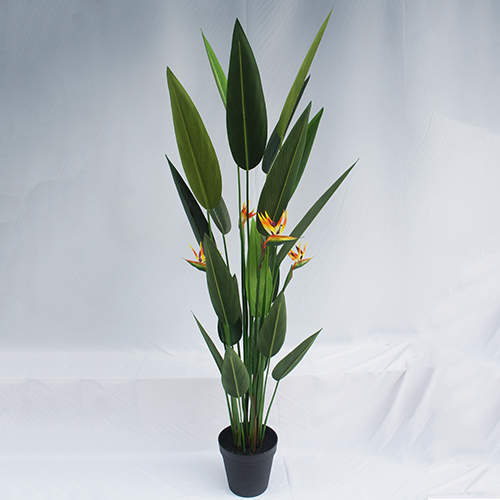 Artificial Strelitzia Nicolai Bonsai, 120 CM - 240 CM