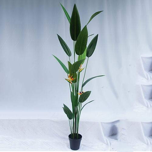 Artificial Strelitzia Bonsai With Sharp Leaves, 120 CM - 240 CM
