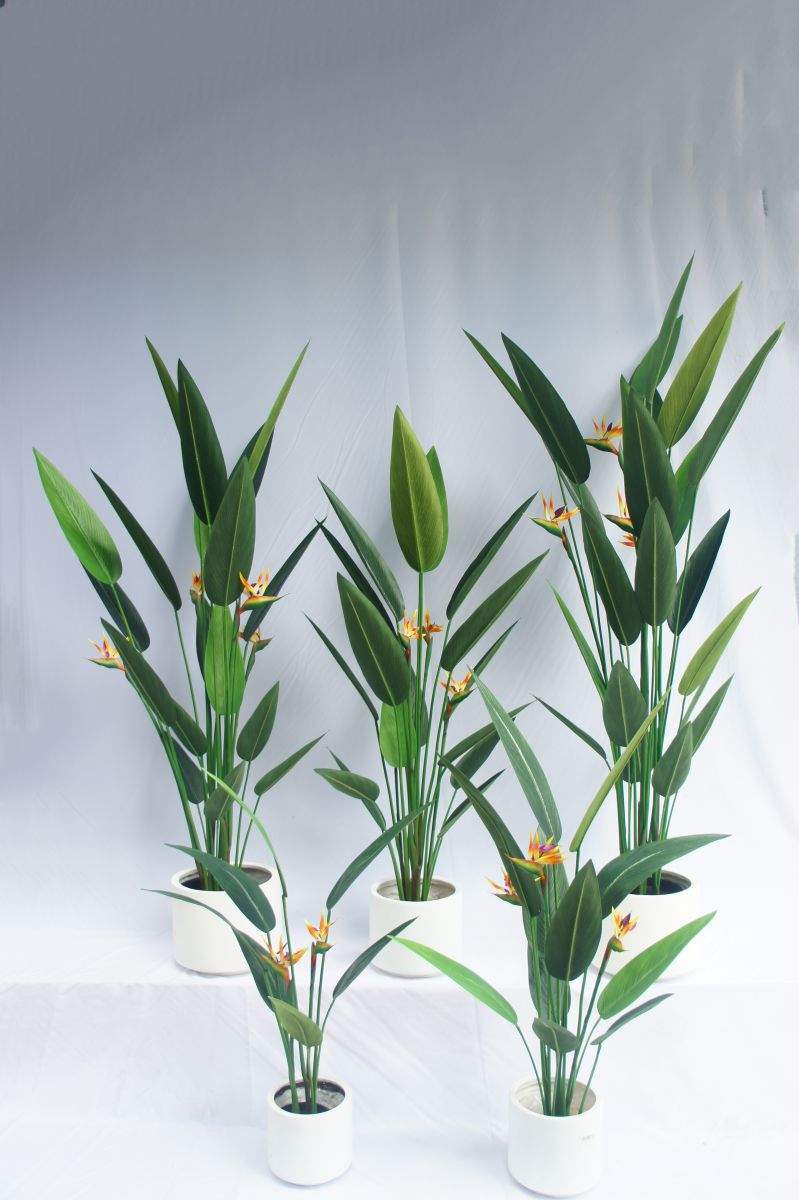 Artificial Strelitzia Nicolai Bonsai, 120 CM - 240 CM