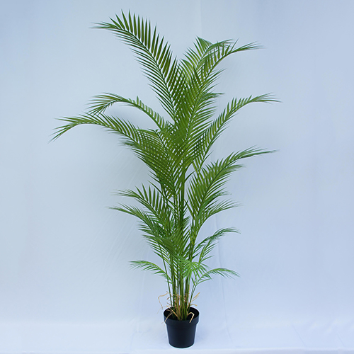Artificial Areca Palm Bonsai, 90 CM - 210 CM