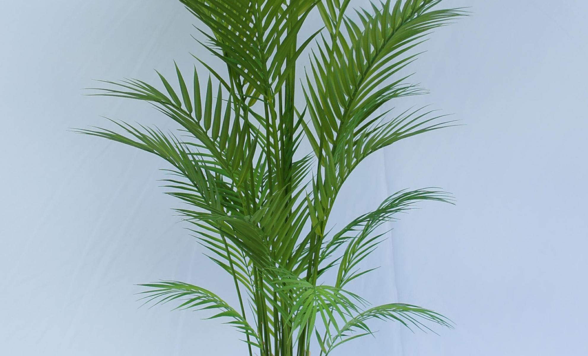 Artificial Areca Palm Bonsai, 90 CM - 210 CM Artificial Areca Palm Bonsai, 90 CM - 210 CM