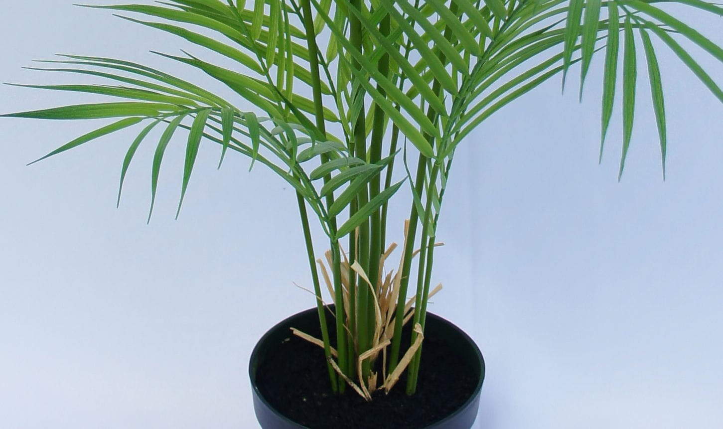 Artificial Areca Palm Bonsai, 90 CM - 210 CM Artificial Areca Palm Bonsai, 90 CM - 210 CM