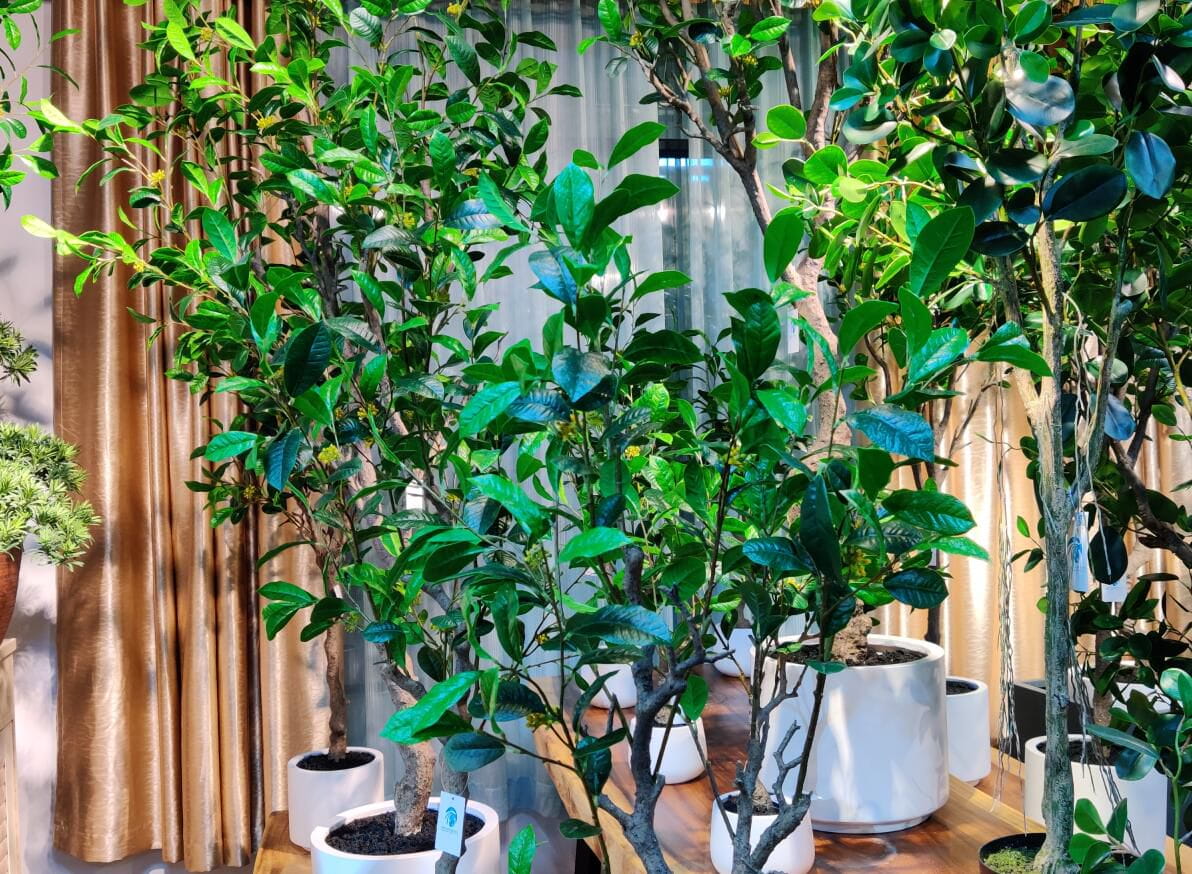Photograph of Artificial Plants & Trees & Bonsai & Flowers -  up-close-shot (03)