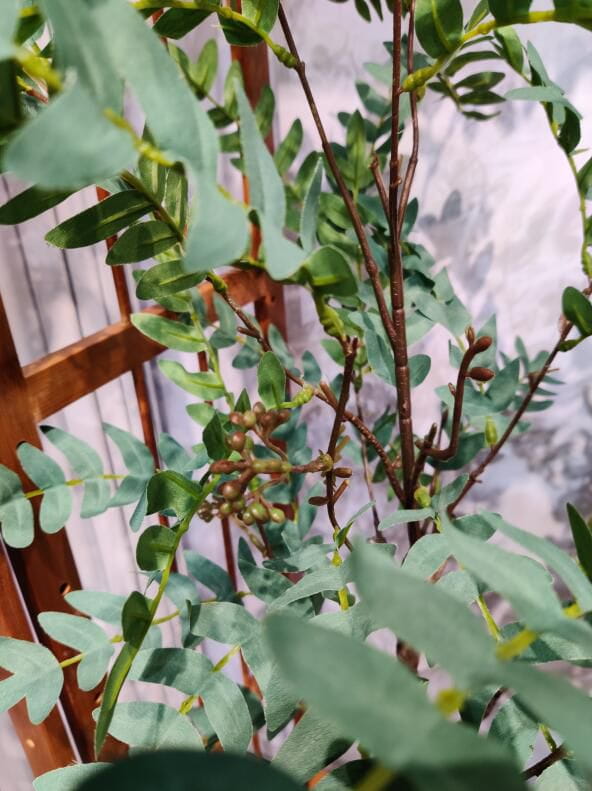 Photograph of Artificial Plants & Trees & Bonsai & Flowers -  up-close-shot (01)