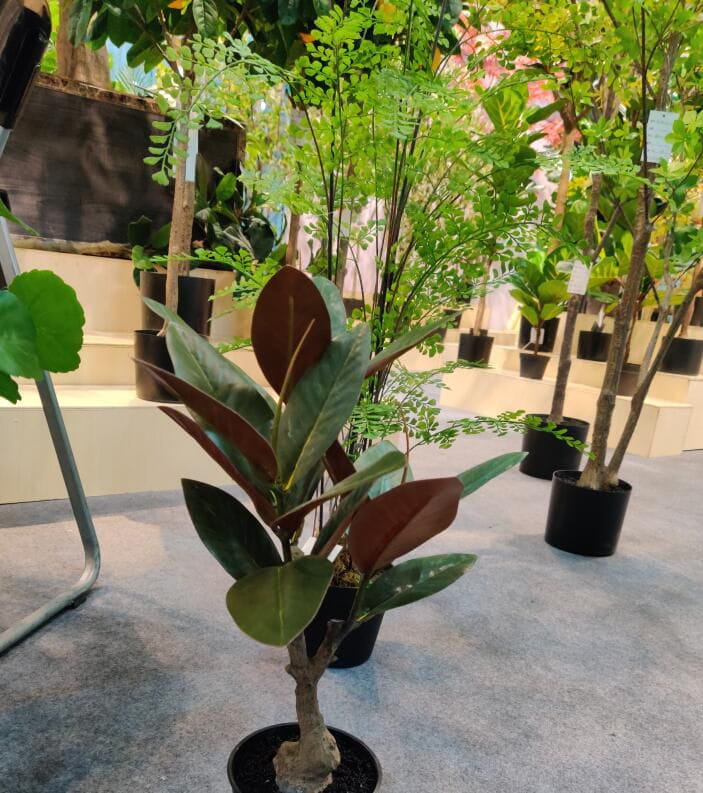Photograph of Artificial Plants & Trees & Bonsai & Flowers -  up-close-shot (01)