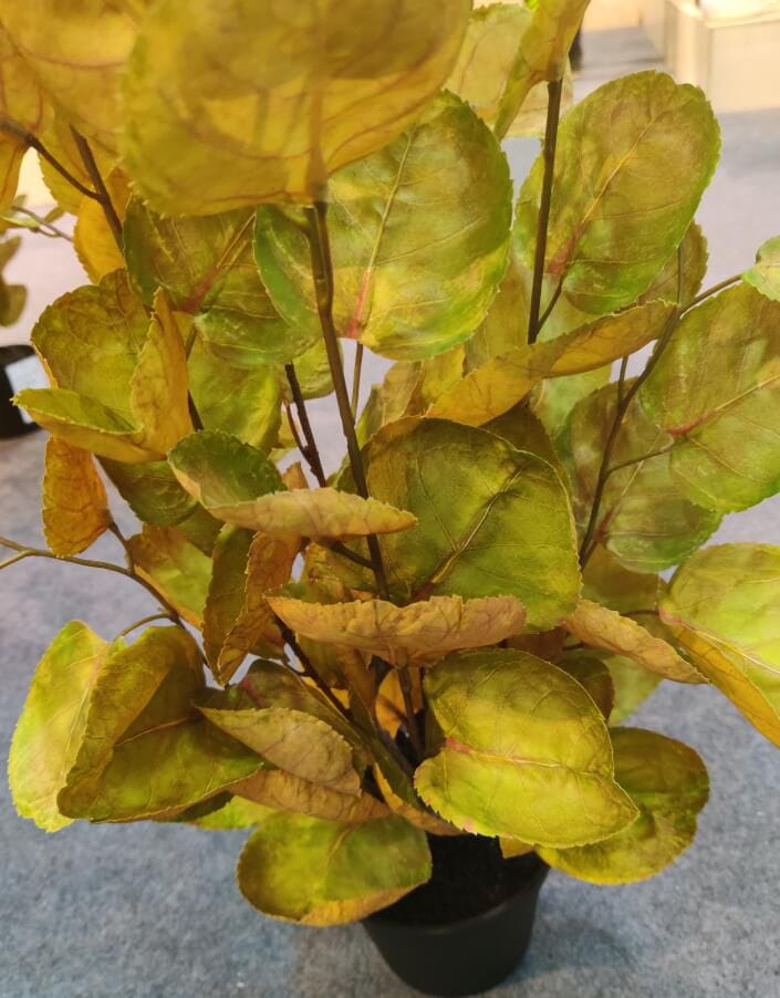 Photograph of Artificial Plants & Trees & Bonsai & Flowers -  up-close-shot (01)