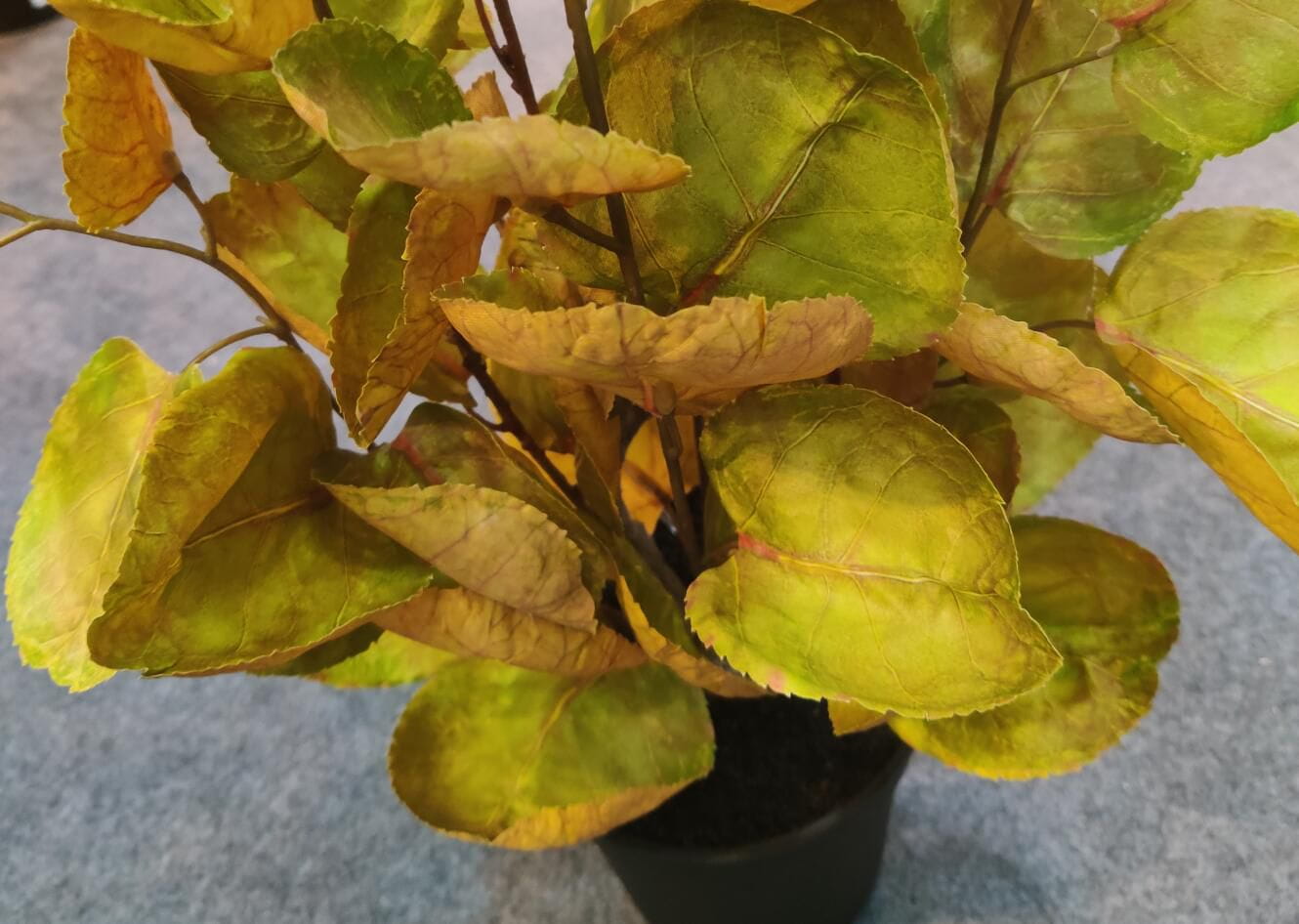 Photograph of Artificial Plants & Trees & Bonsai & Flowers -  up-close-shot (01)
