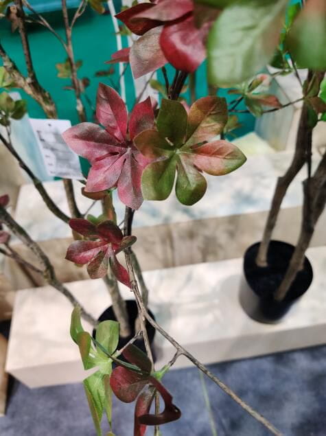 Photograph of Artificial Plants & Trees & Bonsai & Flowers -  up-close-shot (03)