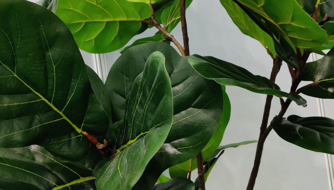 Photograph of Artificial Plants & Trees & Bonsai & Flowers -  up-close-shot (02)