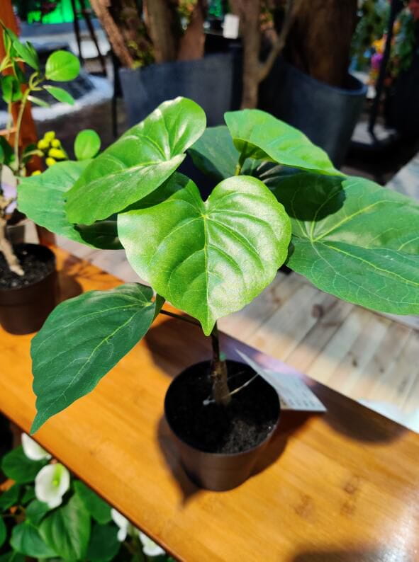 Photograph of Artificial Plants & Trees & Bonsai & Flowers -  up-close-shot (02)