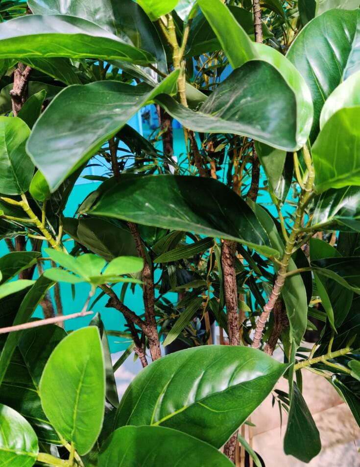 Photograph of Artificial Plants & Trees & Bonsai & Flowers -  up-close-shot (03)