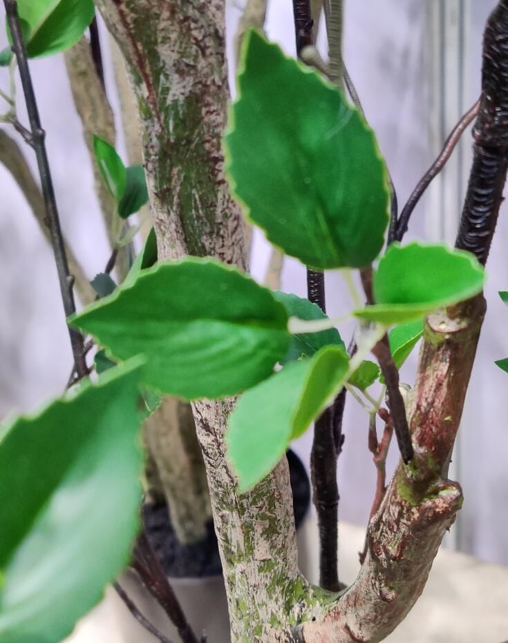 Photograph of Artificial Plants & Trees & Bonsai & Flowers -  up-close-shot (03)