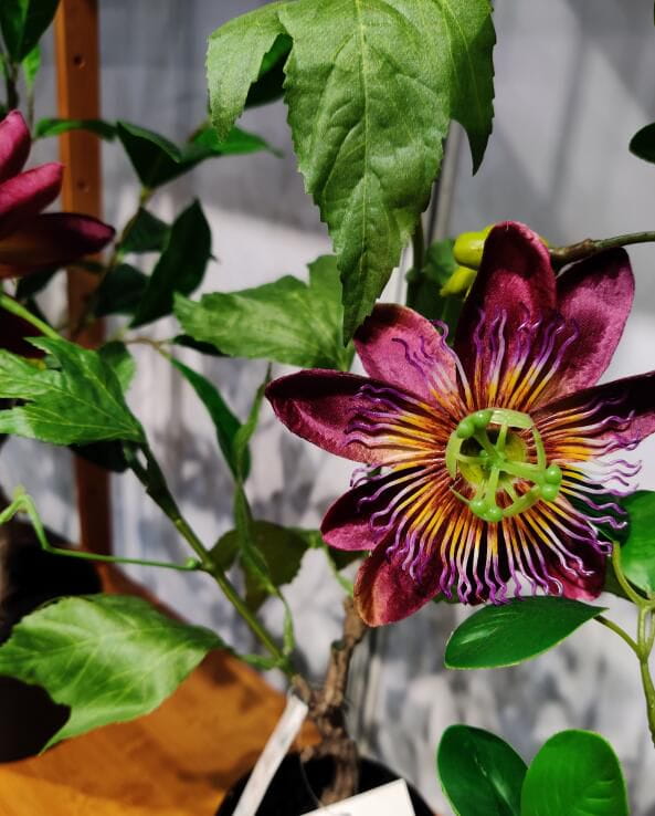 Photograph of Artificial Plants & Trees & Bonsai & Flowers -  up-close-shot (03)