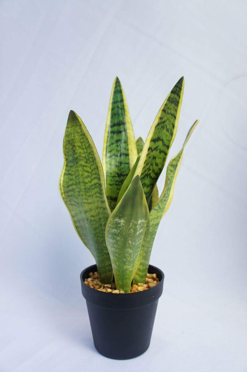Artificial Snake Plant, 45 CM Artificial Snake Plant, 45 CM