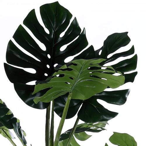 Man-made Monstera Swiss Cheese Plant 130CM Houseplant