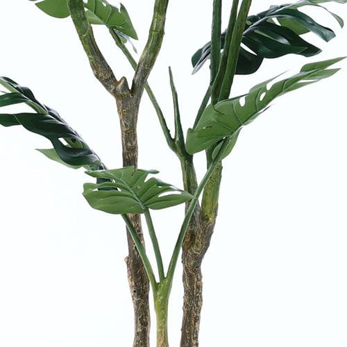 Artificially Monsterio Delicio 150CM Fruit Salad Plant