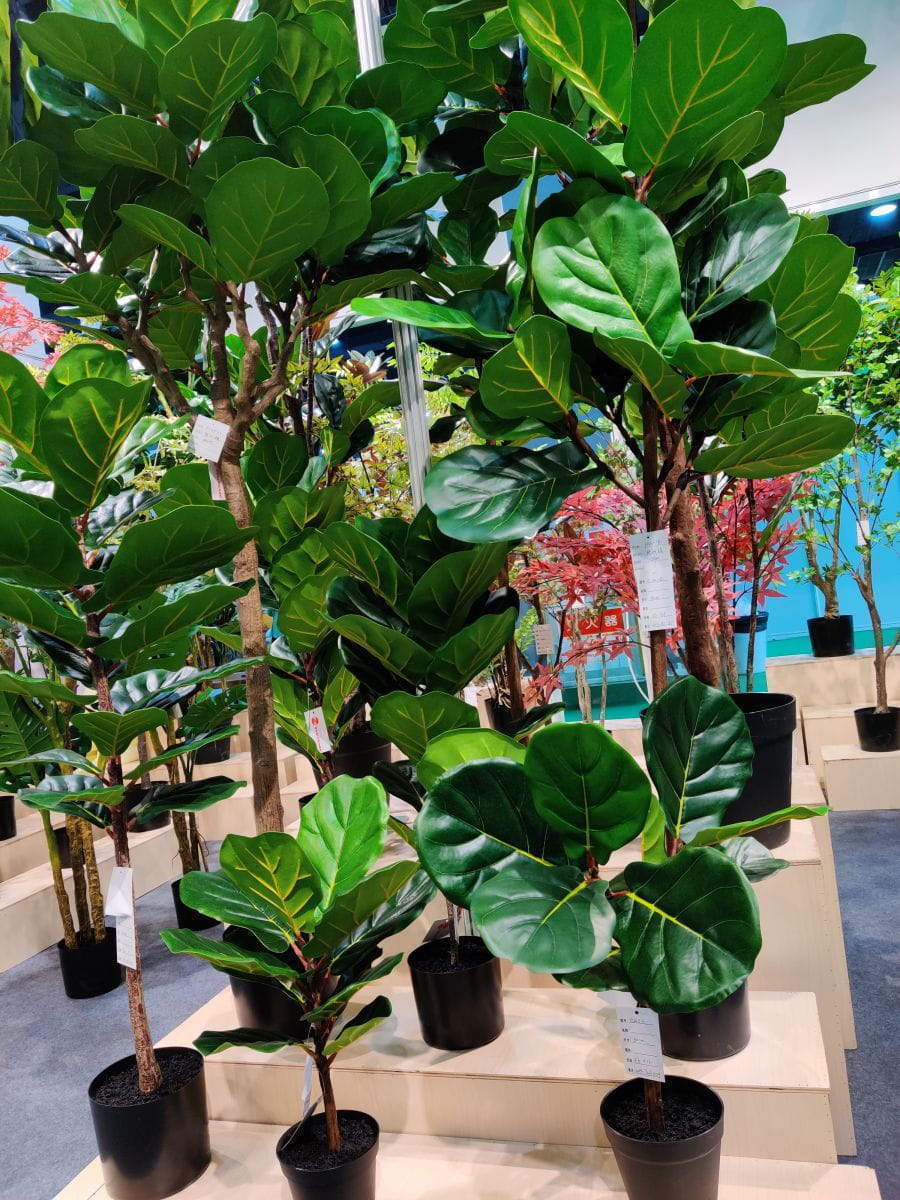 Artificial Ficus Lyrata Tree, 180CM - Sharetrade