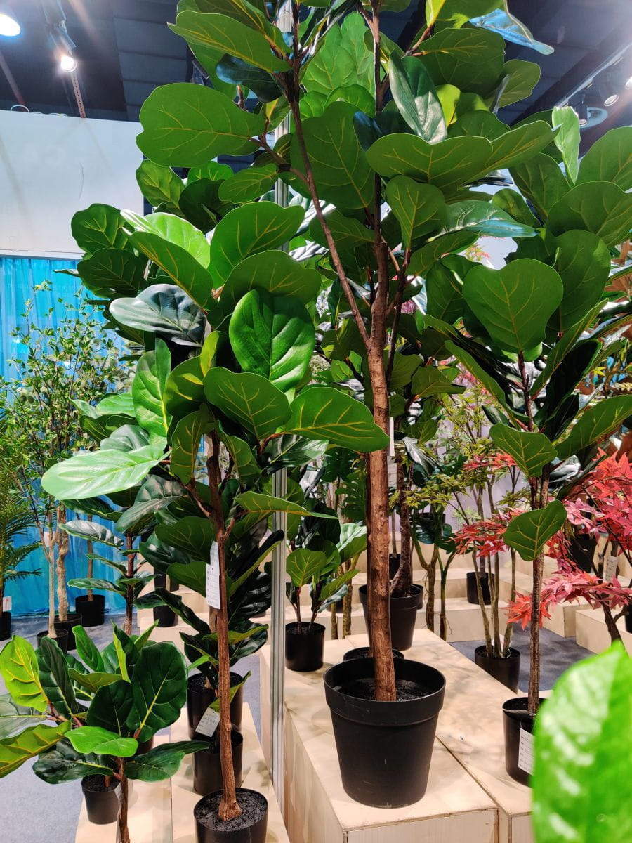 Artificial Ficus Lyrata Tree, 180CM - Sharetrade