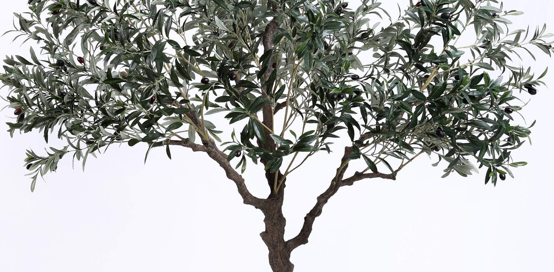 Artificial Olive Tree 200CM, Potted Artificial Olive Tree 200CM, Potted