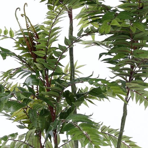 Artificial Toona sinensis, Four Trunks, 190CM
