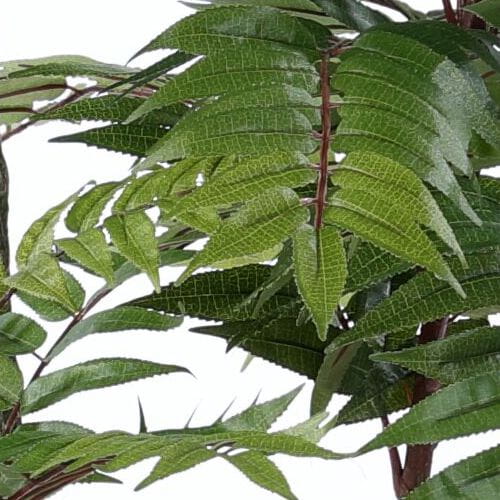 Artificial Toona sinensis, Three Trunks, 160CM Artificial Toona sinensis, Three Trunks, 160CM