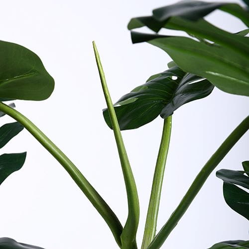 Artificial Monstera Deliciosa, 180CM